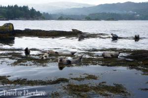 4. Garnish Island